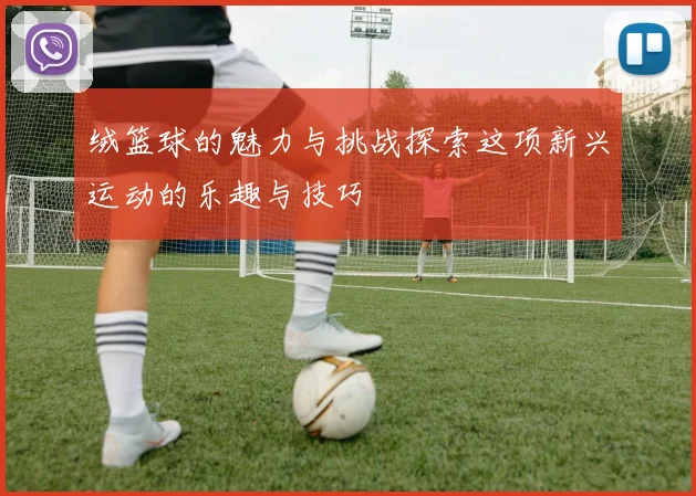 绒篮球的魅力与挑战探索这项新兴运动的乐趣与技巧